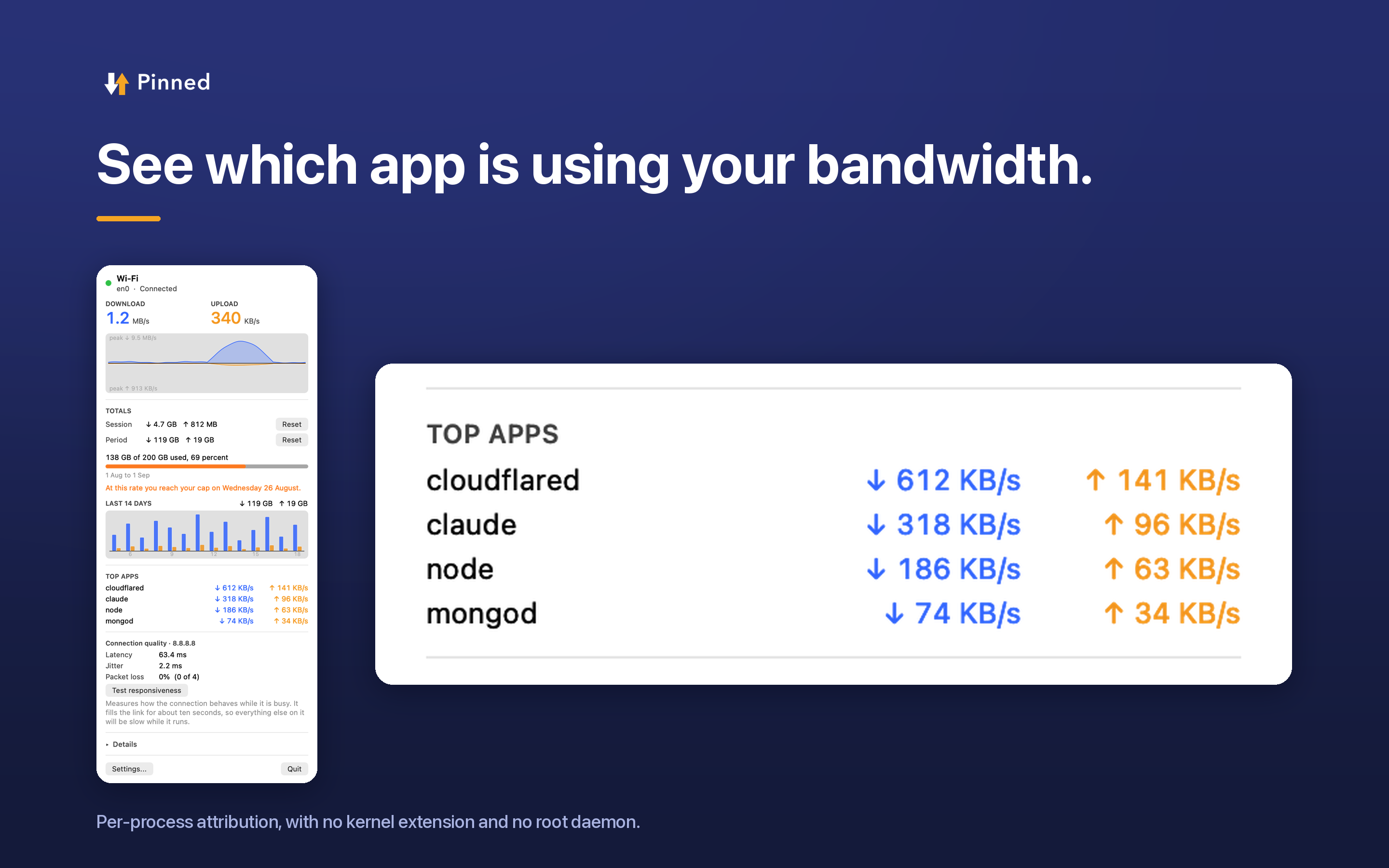 The Pinned panel listing which applications are using bandwidth right now.